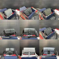 Dior bag（40Variants）
